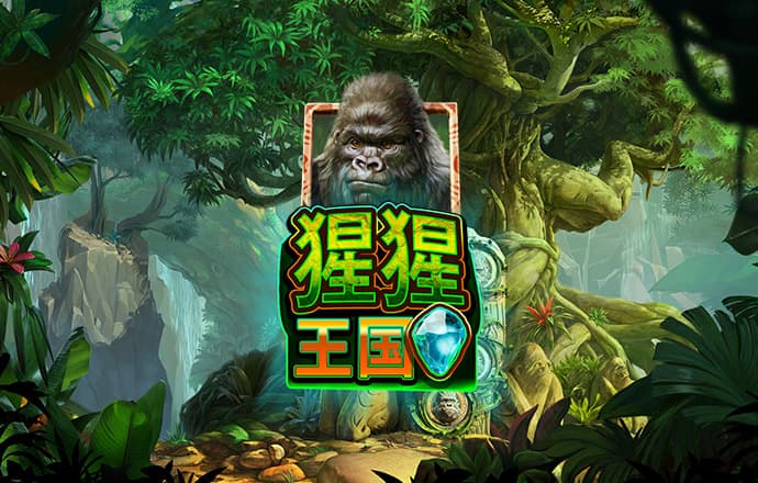 k体育app官网下载